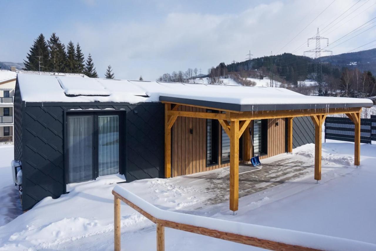 Chalet Stuhleckblick-Ferienhaus Direkt An Der Piste Und Mit Eigener Sauna シュピタール・アム・ゼンメリング エクステリア 写真